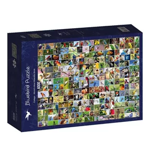 Puzzle 4000 Najpiękniejsze ptaki świata Nowa - Przewodniki - miniaturka - grafika 1