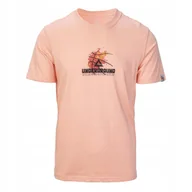 Koszulki męskie - MĘSKA KOSZULKA F6222091 PEAK L - miniaturka - grafika 1