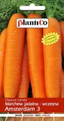Nasiona i cebule - NASIONA Marchew Jadalna Amsterdam 3 Amsterdamska NOE 5g PLANTICO 403017 - miniaturka - grafika 1