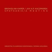 Muzyka filmowa - Bronisław Kaper Jan A P Kaczmarek Spotkanie Limited Deluxe Edition) CD) Monika Wolińska Orkiestra Filharmonii Gorzowskiej - miniaturka - grafika 1