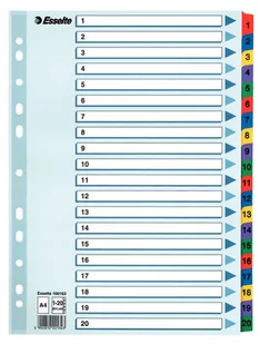 Esselte PRZEKŁADKI KARTONOWE A4 MYLAR 1-20 - Przekładki do segregatorów - miniaturka - grafika 1