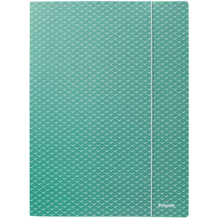 Teczka kartonowa z gumką Colour`Breeze A4 zielona 628493 ESSELTE - Segregatory - miniaturka - grafika 1