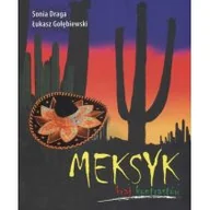 Przewodniki - Meksyk kraj kontrastów - miniaturka - grafika 1