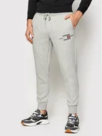 Spodnie sportowe męskie - Tommy Hilfiger Spodnie dresowe Lines MW0MW20953 Szary Regular Fit - miniaturka - grafika 1