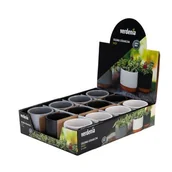 Donice - Osłonka ceramiczna DAISY 8 cm 26838 mi x kolorów - miniaturka - grafika 1