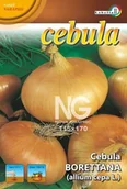 Nasiona i cebule - Cebula Borettana 2g / L / - miniaturka - grafika 1