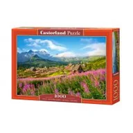 Puzzle - Castorland Puzzle 1000 Hala Gąsienicowa Tatry Polska CASTOR - miniaturka - grafika 1