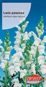 Nasiona i cebule - Nasiona Lwia paszcza biała 1g - Torseed - miniaturka - grafika 1