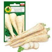 Nasiona i cebule - PIETRUSZKA KORZENIOWA HALBLANGE NASIONA BEZ GMO - miniaturka - grafika 1