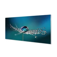 Dekoracje domu - Szklany panel Krople dmuchawiec makro 120x60 cm - miniaturka - grafika 1