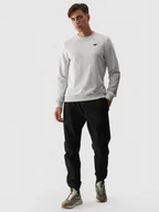 Spodnie sportowe męskie - Męskie spodnie casual joggery 4F 4FWMM00TTROM0944 - czarny - miniaturka - grafika 1