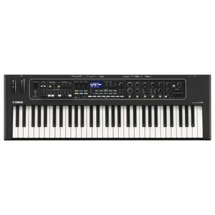 ‌YAMAHA CK 61 - Klawiatura sceniczna ♦ 30 DNI NA ZWROT ♦ GWARANCJA DOOR-TO-DOOR ♦ SZYBKA WYSYŁKA - Instrumenty klawiszowe - miniaturka - grafika 1