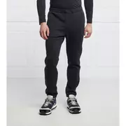 Emporio Armani Spodnie dresowe | Regular Fit