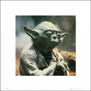 Plakaty - Plakat, Gwiezdne Wojny Star Wars yoda, 40x40 cm - miniaturka - grafika 1