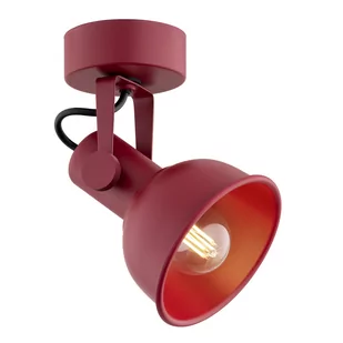 Lampa ścienna/sufitowa LENORA 8298 - Argon - Lampy ścienne - miniaturka - grafika 1