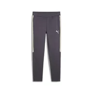 Dresy męskie - PUMA SPODNIE EVOSTRIPE DK 68170269 r M - miniaturka - grafika 1