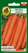 Nasiona i cebule - Marchew Jadalna Arleta 5 g PNOS - miniaturka - grafika 1