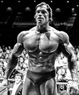 Podkładki pod mysz - PODKŁADKA POD MYSZ Z Nadrukiem 22x18 cm Arnold Schwarzenegger Tekst Prezent - miniaturka - grafika 1