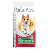 Sucha karma dla psów - briantos Adult 14 kg - miniaturka - grafika 1