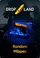Gry PC Cyfrowe - Counter-Strike: Global Offensive RANDOM MIL-SPEC SKIN BY DROPLAND.NET Key GLOBAL - miniaturka - grafika 1