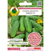 Nasiona i cebule - Ogórek gruntowy Tarot F1 nasiona inkrustowane Pnos - miniaturka - grafika 1