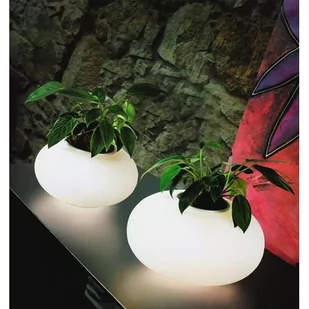 Azzardo FLORA Lampa stołowa - Lampy stojące - miniaturka - grafika 1