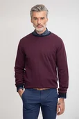 Swetry męskie - Sweter DANIELE 01048A55RRA - miniaturka - grafika 1