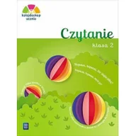 Podręczniki dla szkół podstawowych - Kalejdoskop ucznia Czytanie kl 2 WSiP Adam Brożek Joanna Dobkowska - miniaturka - grafika 1