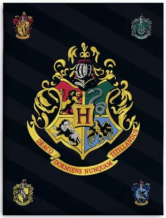 KOC polarowy kocyk POLAR HARRY POTTER 100x140 cm - Koce i narzuty dla dzieci - miniaturka - grafika 1
