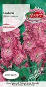 Nasiona i cebule - Nasiona Lewkonia letnia Excelsior liloworóżowa - Torseed - miniaturka - grafika 1