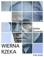 E-booki - literatura polska - Wierna rzeka - miniaturka - grafika 1