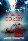 Kryminały - Co się zdarzyło w drodze do Łeby - miniaturka - grafika 1