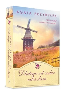 Dlatego od ciebie odeszłam Agata Przybyłek - Powieści - miniaturka - grafika 2