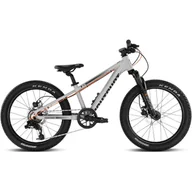 Rowery - Rower dziecięcy Eightshot X-COADY 20 FS DISC/ 7 Grey - miniaturka - grafika 1