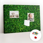 Tablice i flipcharty - Szkolna Tablica korkowa 60x40 cm, Kolorowe Pinezki, wzór Żywopłot liście - miniaturka - grafika 1