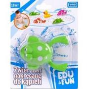 Zabawki do kąpieli - Zabawka do wody - Zielona Żabka Edu&Fun Artyk - miniaturka - grafika 1