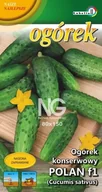 Nasiona i cebule - Ogórek konserwowy Polan 2g / L / - miniaturka - grafika 1