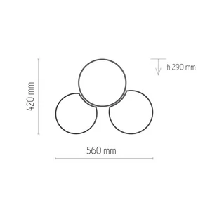 TK Lighting Lampa sufitowa/plafon Mona Nature 3pł | Wysyłka za 0 zł 6591 - Lampy sufitowe - miniaturka - grafika 2