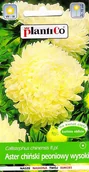 Nasiona i cebule - Aster chiński peoniowy wysoki żółty nasiona 1g PlantiCo - miniaturka - grafika 1