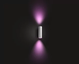 Philips Hue Outdoor Appear Wall Lantern - Inox 915005976301 - Pozostałe oświetlenie - miniaturka - grafika 3