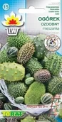 Nasiona i cebule - Ogórek Ozdobny Mix 0,3G - miniaturka - grafika 1