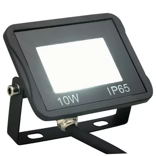 vidaXL Naświetlacz Reflektor LED 10 W zimne białe światło 149614 - Lampy pozostałe - miniaturka - grafika 1
