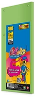Wkłady do segregatora - Pastello Przekładka do segregatora 13 A4 100k It130 ziel - miniaturka - grafika 1