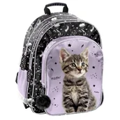 Plecaki - Plecak 2-komorowy Kot PP25CE-090 - PASO - miniaturka - grafika 1