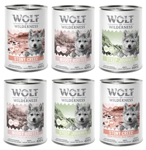 Wolf of Wilderness Junior “Expedition”, 6 x 400 g - Pakiet mieszany - Mokra karma dla psów - miniaturka - grafika 1