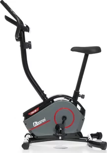 Rower stacjonarny Abarqs RW-36 magnetyczny - Rowery treningowe - miniaturka - grafika 1