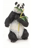 Albumy krajoznawcze - Panda z bambusem - miniaturka - grafika 1