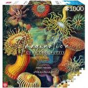 Puzzle - Puzzle 1000 Ernst Haeckel: Stworzenia morskie Good Loot - miniaturka - grafika 1