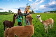 Czasopisma - Spacer z alpakami wraz z wizyta w mini zoo - Lublin (Żuków) - miniaturka - grafika 1