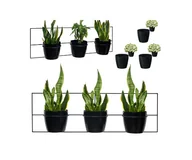 Donice - Kwietnik Prostokąt XXL 99 cm doniczki GRATIS - miniaturka - grafika 1